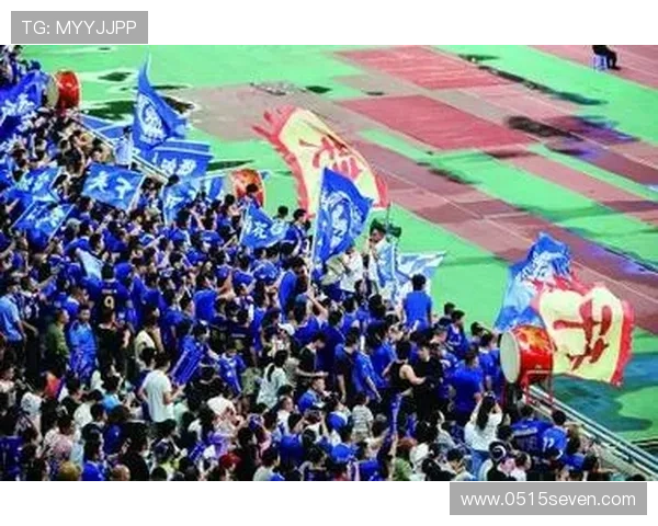 南京羽毛球队配合问题引发热议球迷与专家各抒己见探讨未来发展